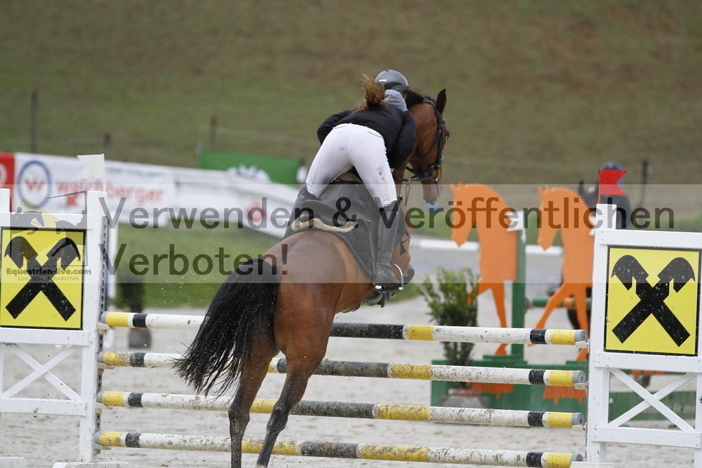 _MG_1244 | equestrian-live-com