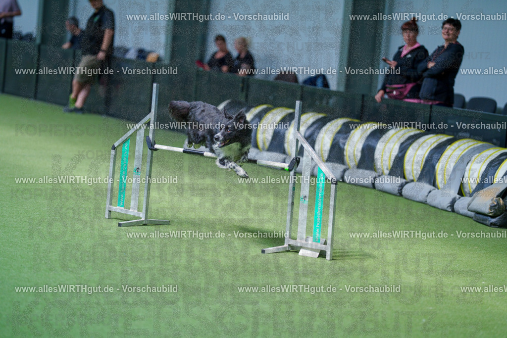 @allesWIRTHgut_Tierfotografie - www.allesWIRTHgut.de - 2604261357-7R503011 | Professionelle Tierfotografie in Mönchengladbach von Daniel Wirth (allesWIRTHgut). Liebevolle & natürliche Bilder von Hunden & Katzen für unvergessliche Erinnerungen.