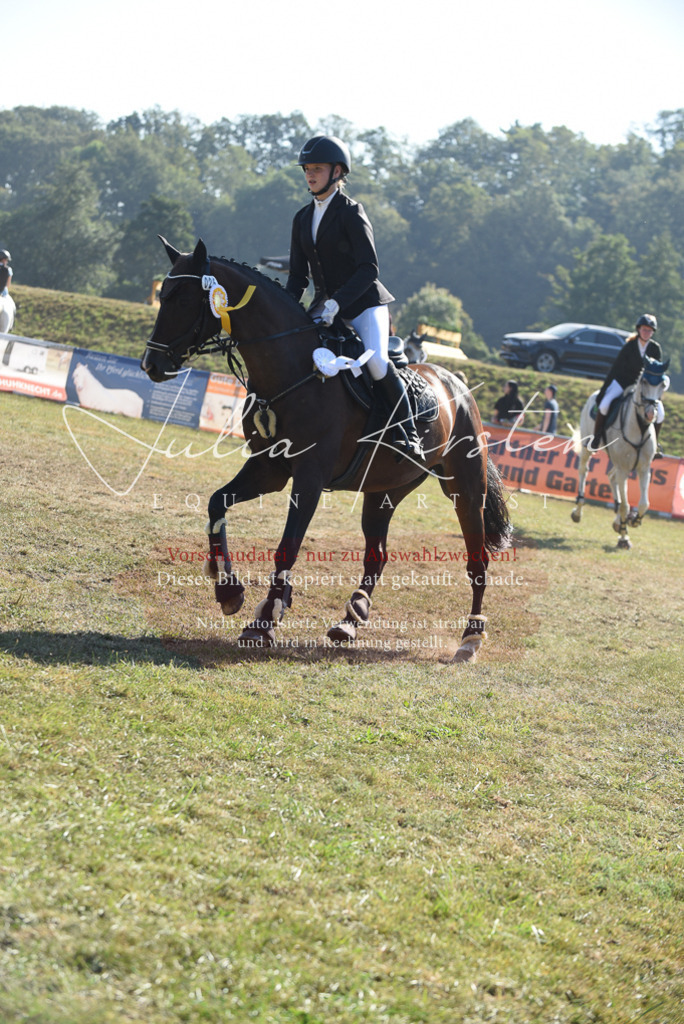 DSC_5498 | Pferde- und Turnierfotografie in Westsachsen. Pferdeportraits, Auftragszeichnungen und intuitive Kunst.