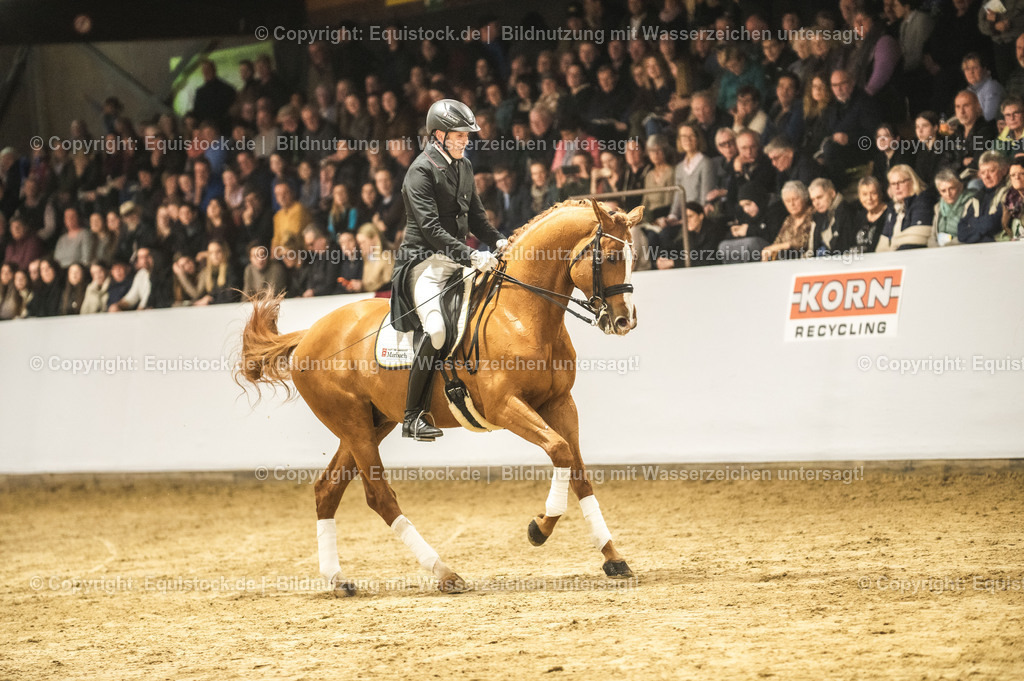 20240302_Hengstvorstellung_Marbach_TOMsPiC_0914 | equistock