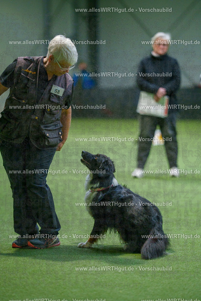 7R507134 | Professionelle Tierfotografie in Mönchengladbach von Daniel Wirth (allesWIRTHgut). Liebevolle & natürliche Bilder von Hunden & Katzen für unvergessliche Erinnerungen.