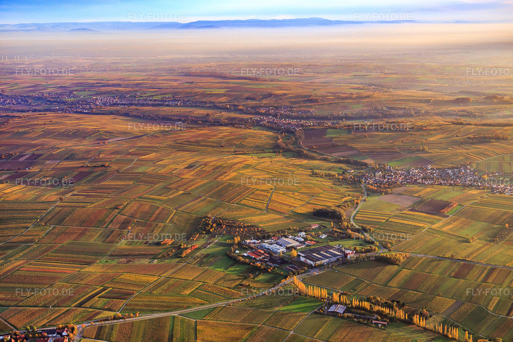 Luftbild: Großkelterei Kleine Kalmit zwischen herbstlich verfärbten Weinbergen in Ilbesheim bei Landau im Bundesland Rheinland-Pfalz in Deutschland. Foto: IMG_076409.jpg vom 09.11.2014 durch Werner Riehm/FLY-FOTO.deweintor.de: Deutsches Weintor