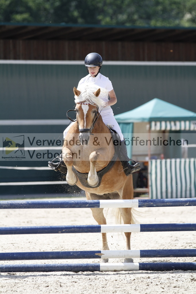 _MG_6331 | equestrian-live-com