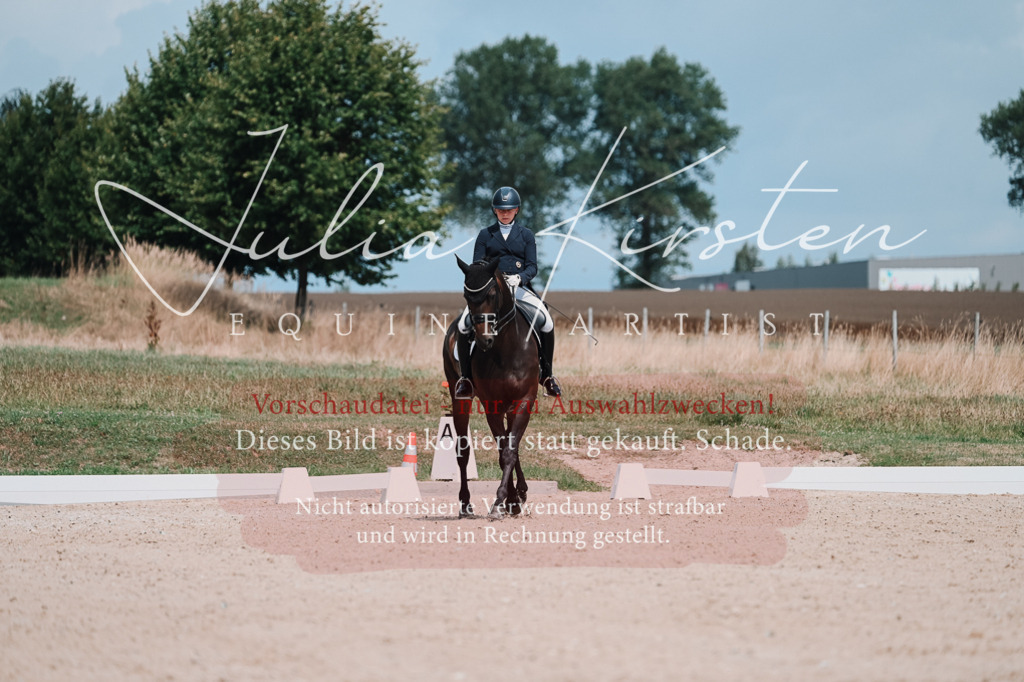 DSC_4294 | Pferde- und Turnierfotografie in Westsachsen. Pferdeportraits, Auftragszeichnungen und intuitive Kunst.