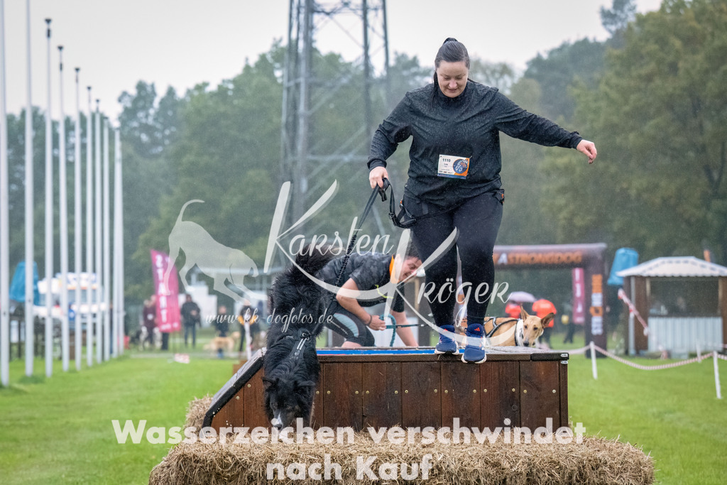 0910-_ZZ93393-Bearbeitet | kk-dogfotos