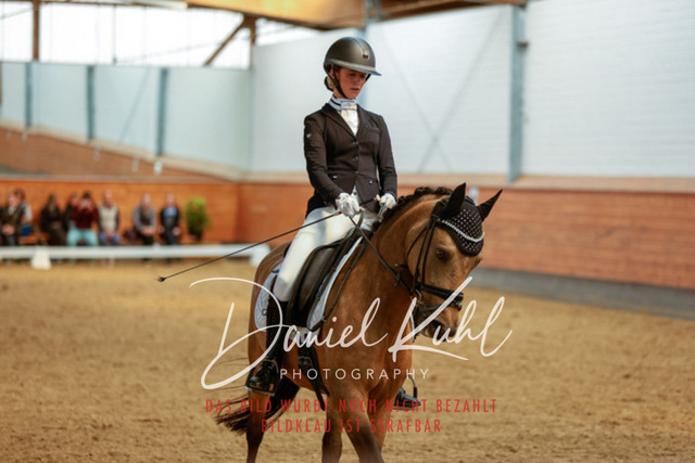 _62_4656 | Turniersportfotografie; Pferdefotografie; Dressurfotografie