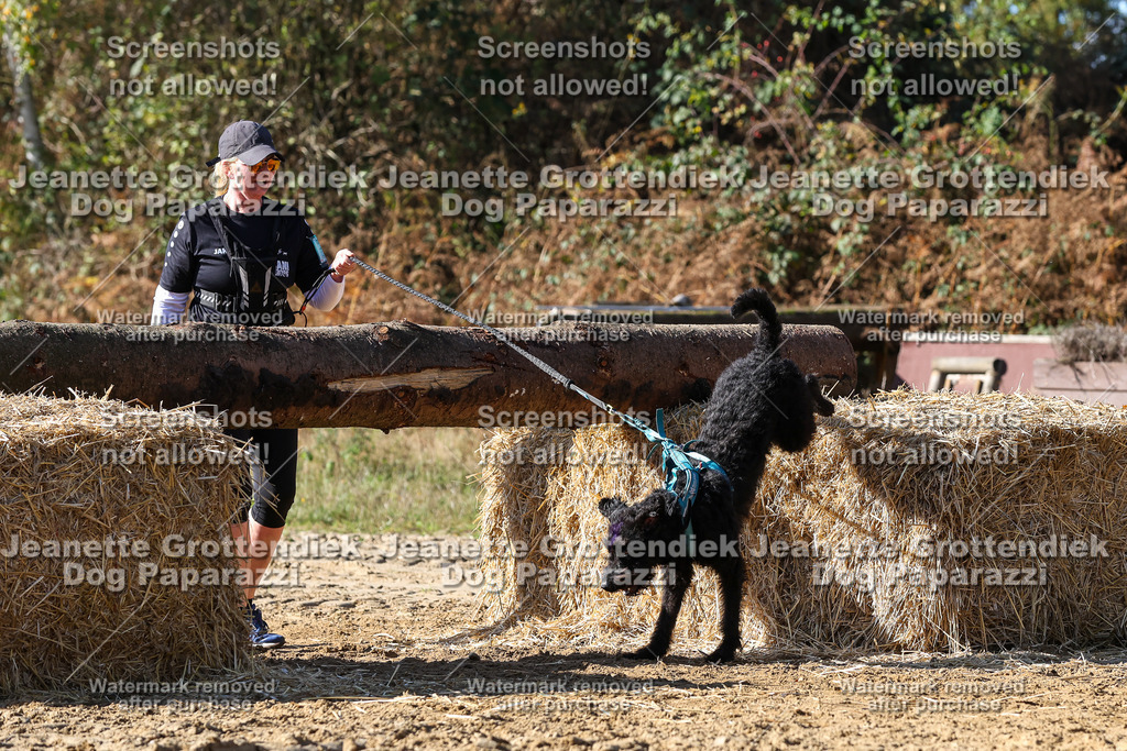 Dog Paparazzi - Strongdog 10-25-4658 | Dog Paparazzi Jeanette Grottendiek Fotografie & Videografie - Realisiert mit Pictrs.com
