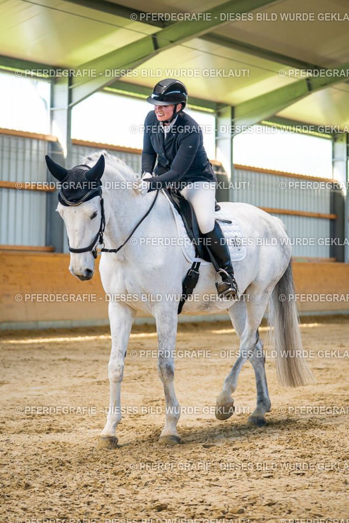 DSC06267 | Pferdegrafie