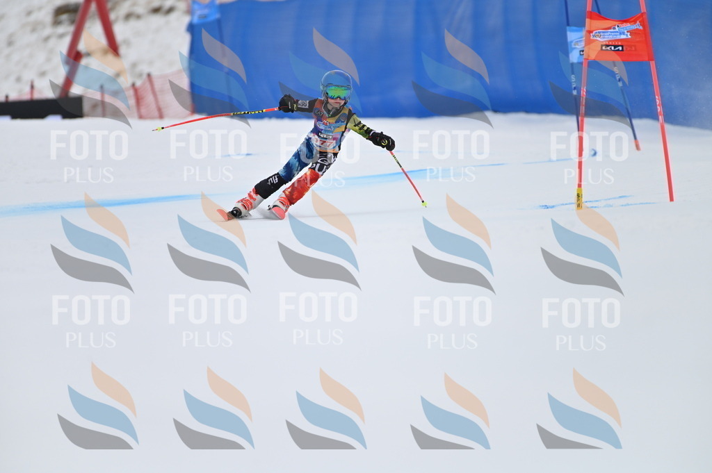 BGV_0916 | holidayphoto