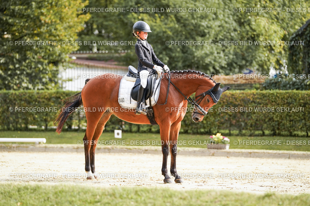 DSC04130 | Pferdegrafie