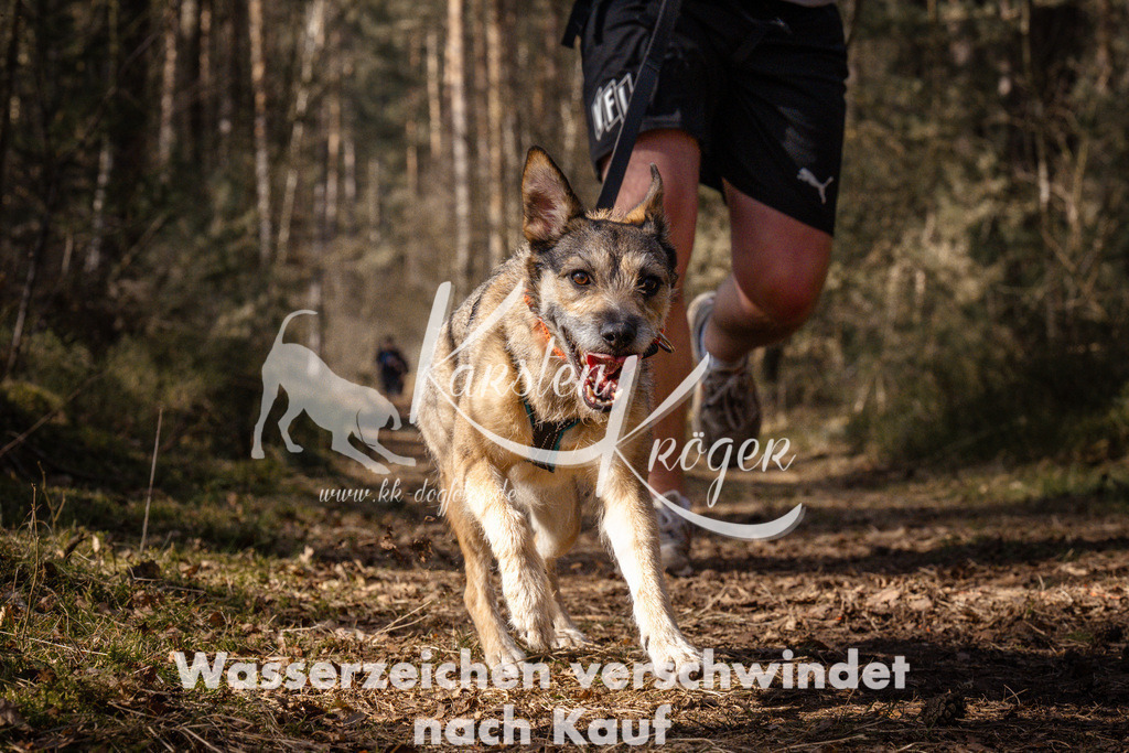 1239_ZZ94021 | kk-dogfotos