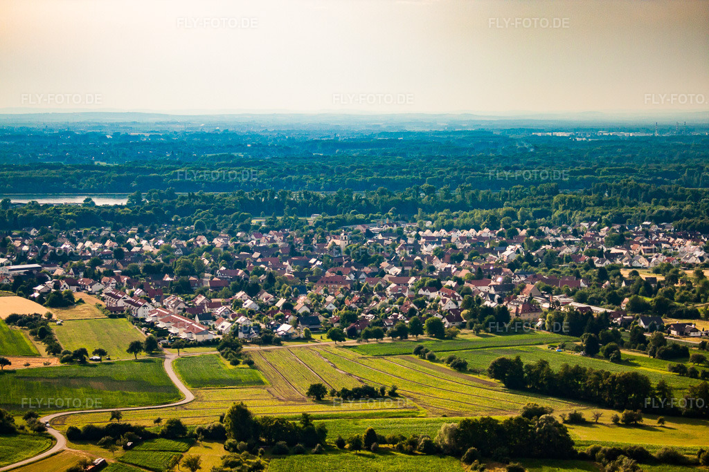 Luftbild: Ortsansicht von Osten im Ortsteil Auenheim in Kehl im Bundesland Baden-Württemberg in Deutschland. Foto: IMG_30246.jpg vom 09.07.2010 durch Werner Riehm/FLY-FOTO.de