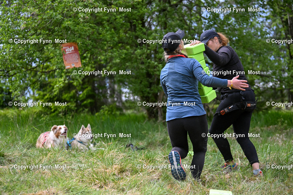 DSC_6735 | Hallo und herzlich Willkommen auf meiner Shop-Seite Fynn Most.

Ich wünsche Dir viel Spaß beim stöbern durch die Bilder, wenn Du Fragen hast oder Bilder vermisst, kannst du mir gerne eine Nachricht schreiben. - Realisiert mit Pictrs.com
