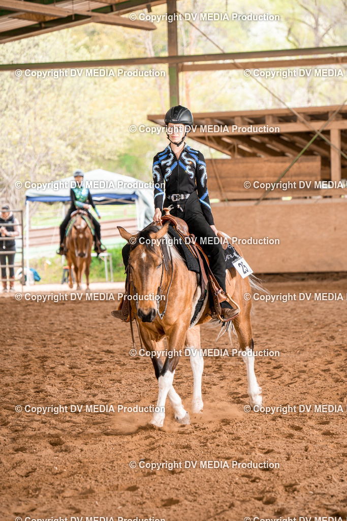 BA300791 | dv-media-shop - Realisiert mit Pictrs.com