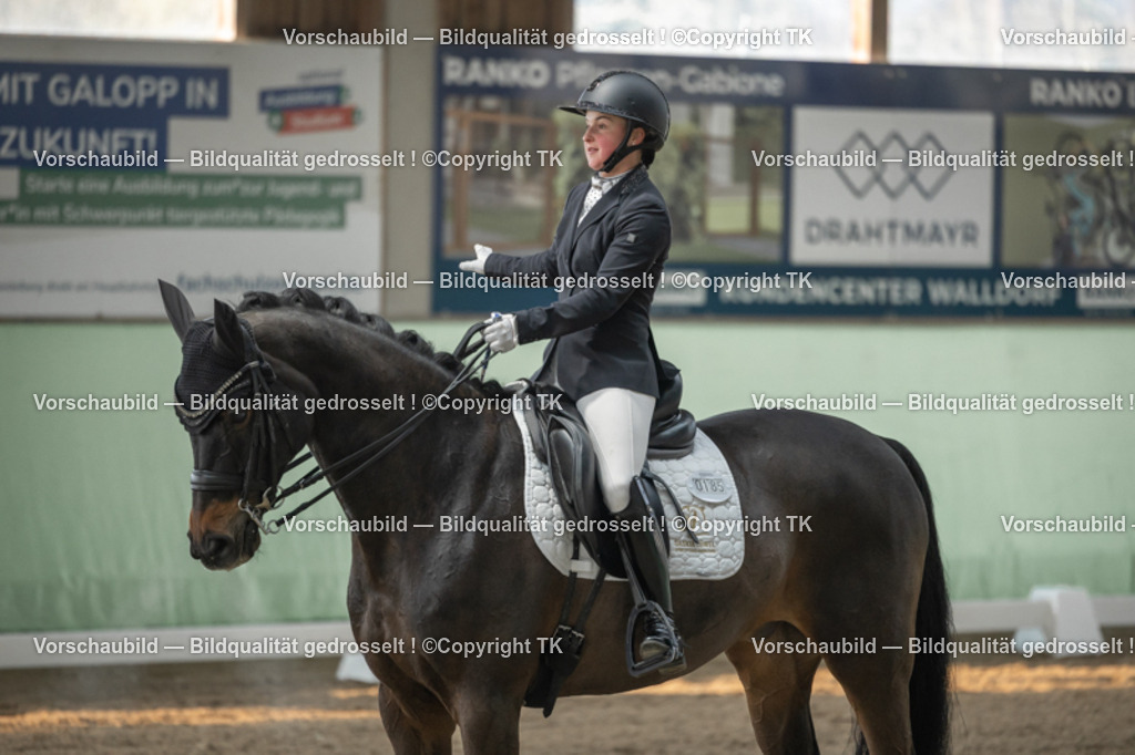 _D5A4107 | Emotionale Pferde- & People-Fotografie rund um Heidelberg, Leimen & Umgebung. Natürliche Fotos von Pferd, Mensch & Familie. Jetzt Termin sichern!