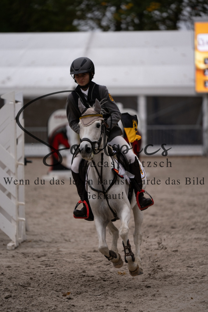 A7V09251 | Pferdefotograf