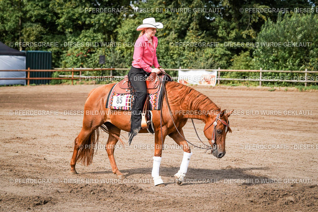 DSC09501 | Pferdegrafie