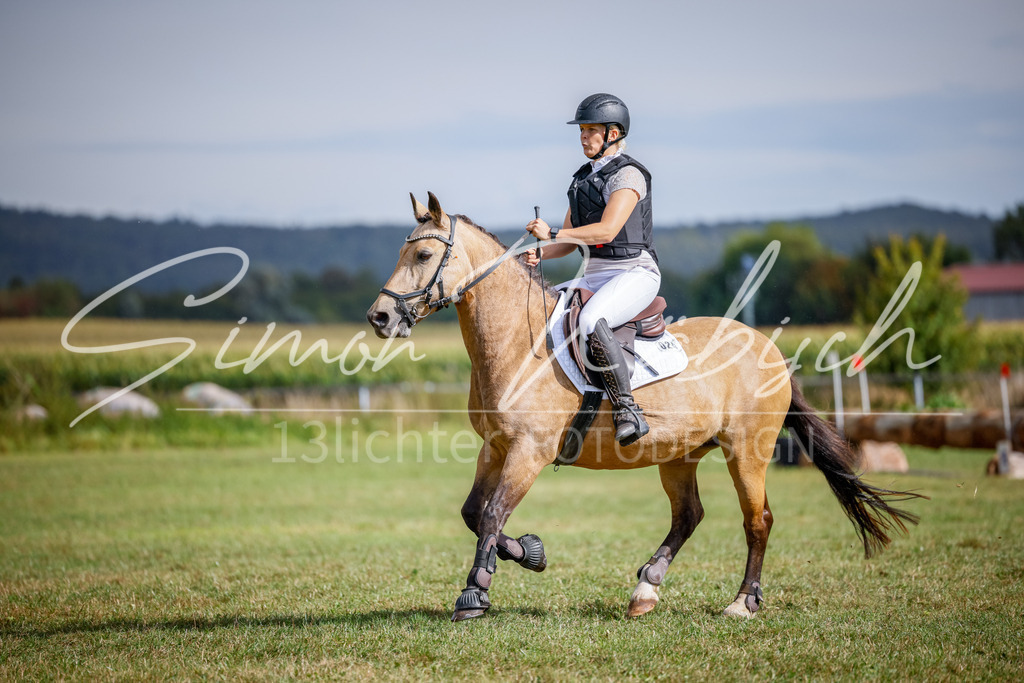 20250905-_3LI0883 | Tierfotografie Pferde, Hunde, Katzen, Haustiere.
Turnierfotografie Reitturniere, Reiten, Springreiten, Dressur in Hanau, dem Main-Kinzig-Kreis und dem Rhein-Main- Gebiet um Frankfurt