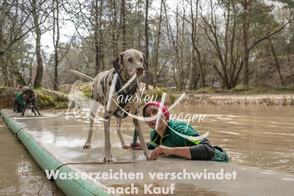 1307_ZZ94372 | kk-dogfotos