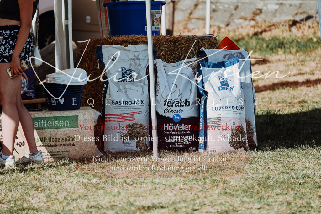 DSC_8925 | Pferde- und Turnierfotografie in Westsachsen. Pferdeportraits, Auftragszeichnungen und intuitive Kunst.