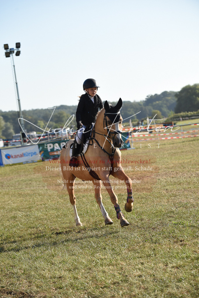 DSC_5520 | Pferde- und Turnierfotografie in Westsachsen. Pferdeportraits, Auftragszeichnungen und intuitive Kunst.