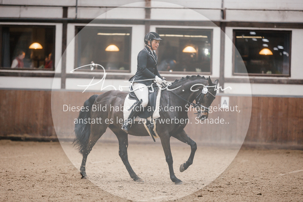 3I6A6530 | Stimmungsvolle Portraits und Reitsportfotografie im Ruhrgebiet und im Münsterland.

Pferdefotografie, Hundefotografie, Tierfotografie, Reportagen, Portraits von Tier und Mensch, Turnierfotografie in Bochum, Recklinghausen, Marl, Haltern am See, Dülmen.. - Realisiert mit Pictrs.com