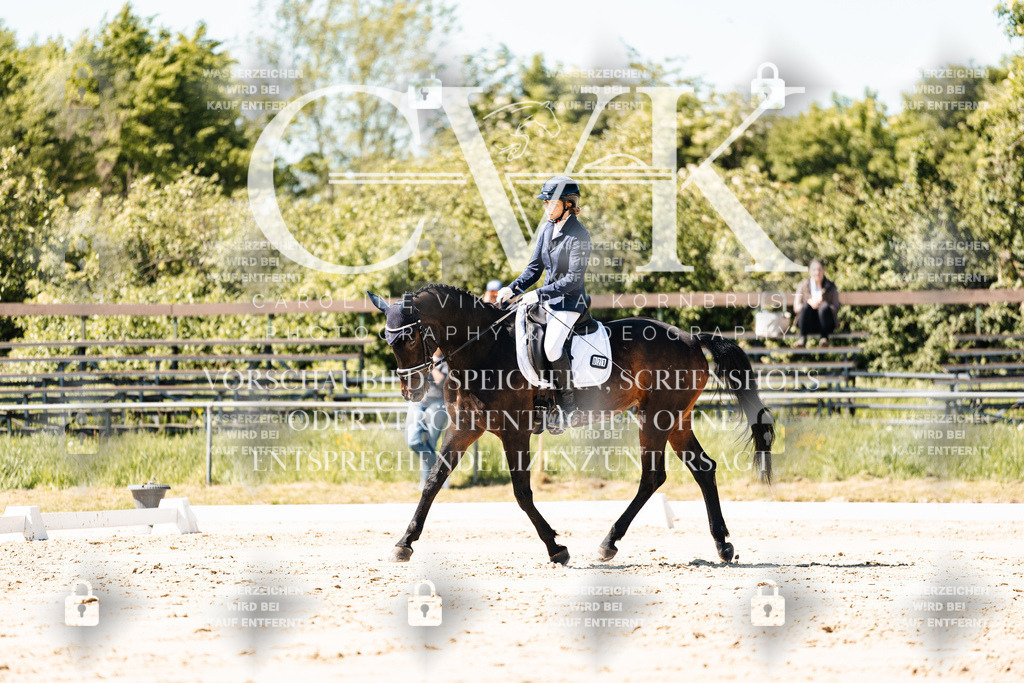 CK905327 | Turnierfotografie Pferdefotografie Trier Rheinland-Pfalz Pferdesport Reitsport Tierfotografie Sportfotografie Pferdevideo Pferdevideografie Equestrianvideography equestrianphotography  - Realisiert mit Pictrs.com