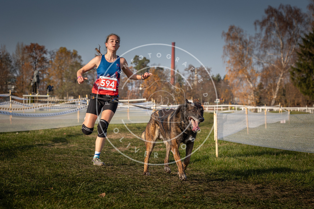 CaniXpix_0L8A9983 | Hundefotografie, Tierfotograf, Pfotenfotografie, Fotoshooting Hund, Hunde Portrait, Hundesport, Hundeportraits, Heideshooting, Hunde, Sportfotograf, Hundefotograf, Turnierhundsport, THS,  - Realisiert mit Pictrs.com
