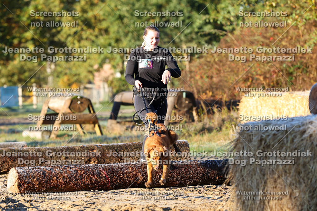 Dog Paparazzi - Strongdog 10-25-623 | Dog Paparazzi Jeanette Grottendiek Fotografie & Videografie - Realisiert mit Pictrs.com