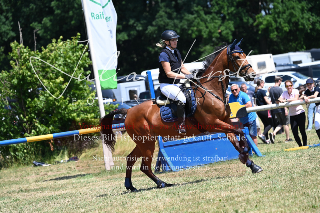 DSC_0626 | Pferde- und Turnierfotografie in Westsachsen. Pferdeportraits, Auftragszeichnungen und intuitive Kunst.