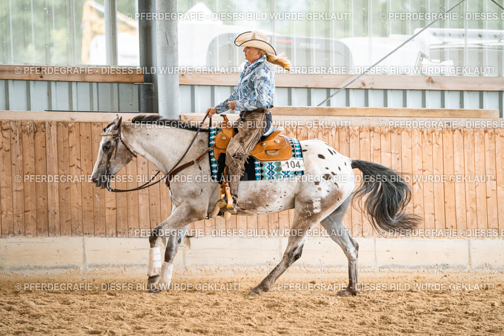 DSC00654 | Pferdegrafie