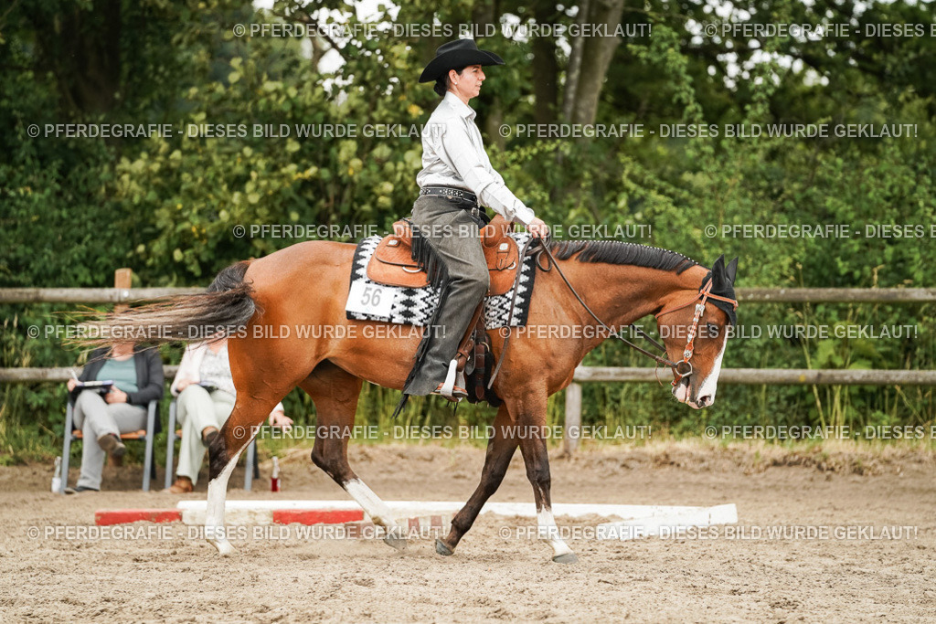 DSC08566 | Pferdegrafie