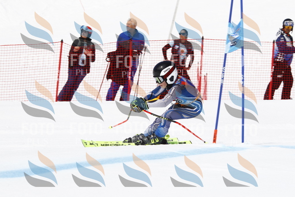 _U3G5894 | holidayphoto