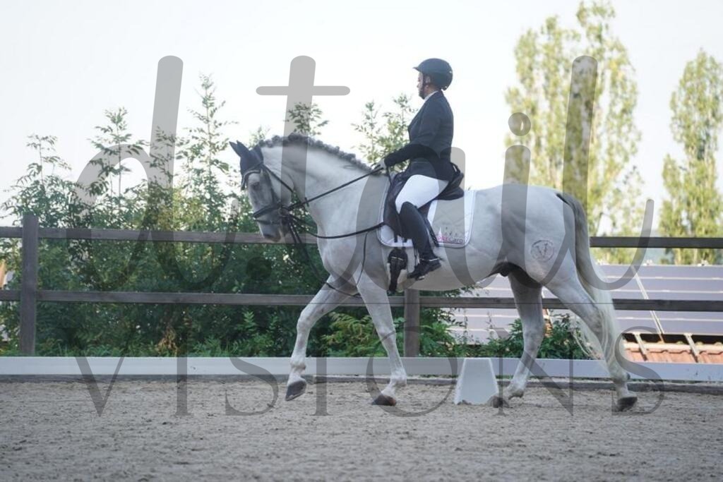 tgbhsamstag (383) | d.tail Visions - Shop - Realisiert mit Pictrs.com