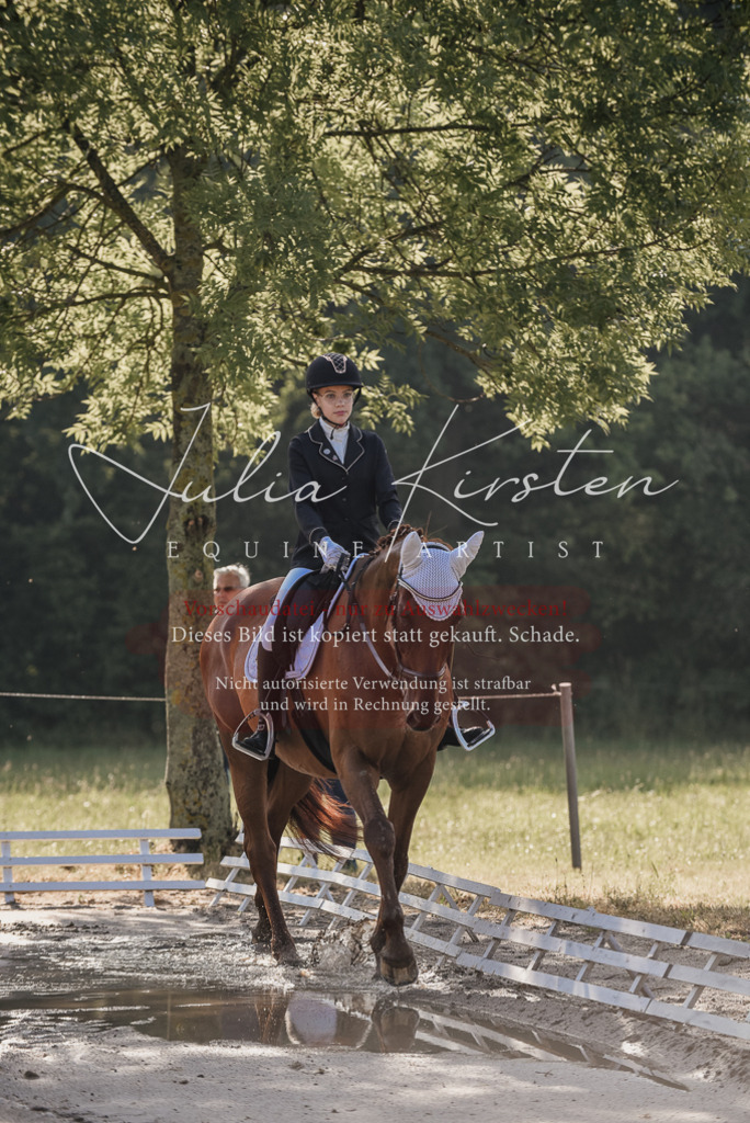 DSC_7668 | Pferde- und Turnierfotografie in Westsachsen. Pferdeportraits, Auftragszeichnungen und intuitive Kunst.