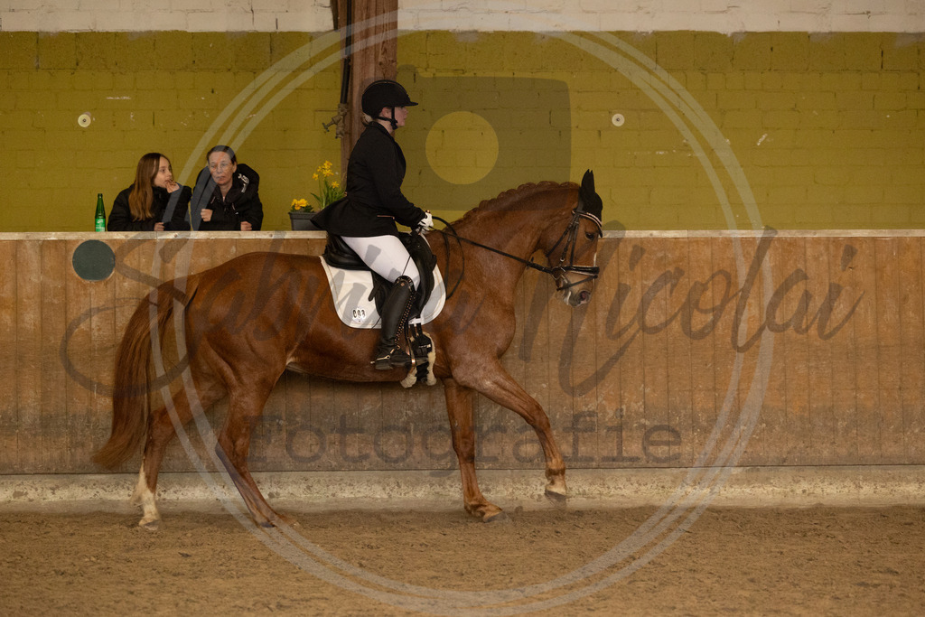 994A9272 | sabrinanicolaifotografie - Realisiert mit Pictrs.com