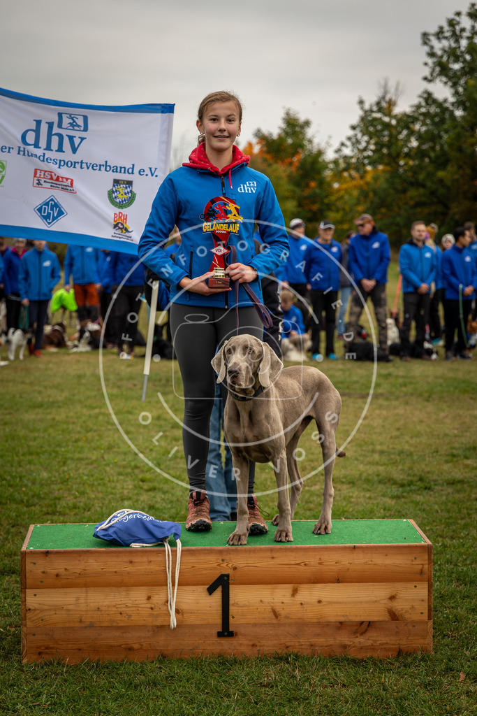 Pfotenfotografie_0L8A0363 | Hundefotografie, Tierfotograf, Pfotenfotografie, Fotoshooting Hund, Hunde Portrait, Hundesport, Hundeportraits, Heideshooting, Hunde, Sportfotograf, Hundefotograf, Turnierhundsport, THS,  - Realisiert mit Pictrs.com