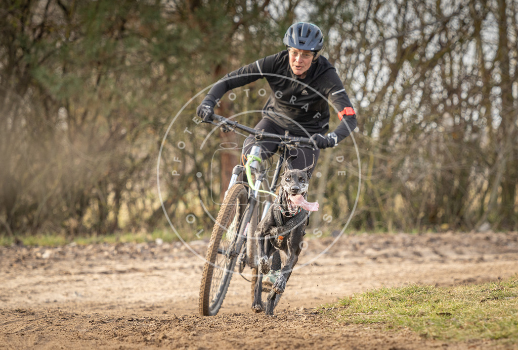 Pfotenfotografie_DV3A8343 | Hundefotografie, Tierfotograf, Pfotenfotografie, Fotoshooting Hund, Hunde Portrait, Hundesport, Hundeportraits, Heideshooting, Hunde, Sportfotograf, Hundefotograf, Turnierhundsport, THS,  - Realisiert mit Pictrs.com