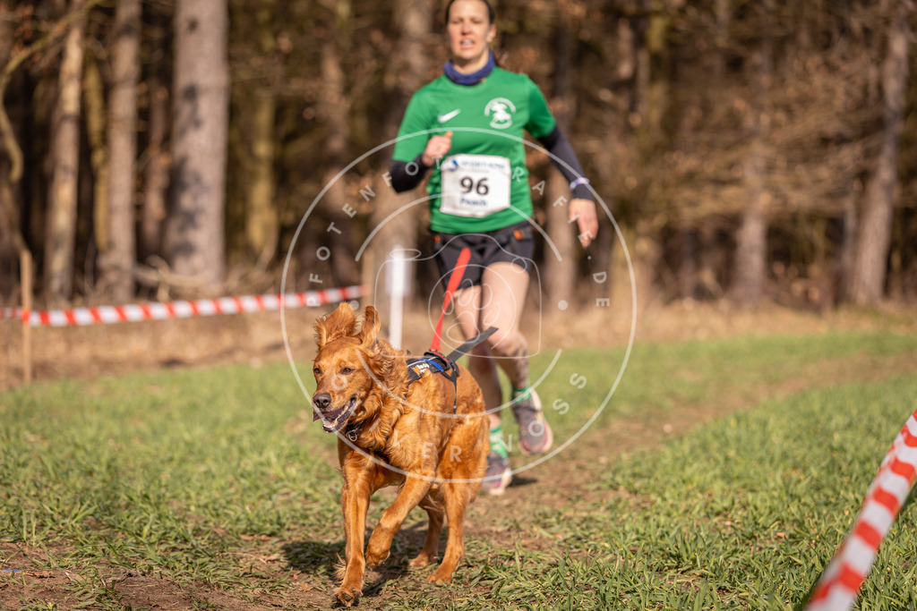 DV3A6289 | Hundefotografie, Tierfotograf, Pfotenfotografie, Fotoshooting Hund, Hunde Portrait, Hundesport, Hundeportraits, Heideshooting, Hunde, Sportfotograf, Hundefotograf, Turnierhundsport, THS,  - Realisiert mit Pictrs.com