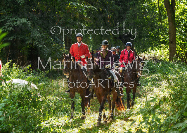 Jagd Perdoel_MarinaHewigMCH05048 | Fotografie, FotoArt, PferdesportArt, Pferdesportfotografie, Landschaftsfotografie, Reisefotografie, Reise, Pferde - Realisiert mit Pictrs.com
