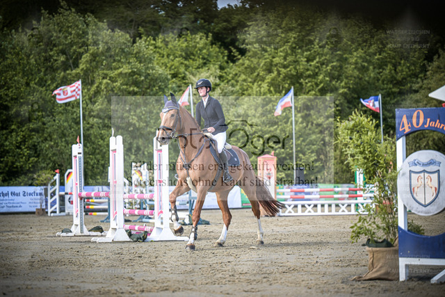 DOS_8649 | Entdecke hochwertige Reitturnierfotos von Foto Oger. Professionell, emotional und authentisch – jetzt Lieblingsmomente im Shop bestellen. - Realized with Pictrs.com