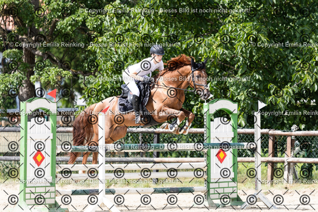 CL5A8586 | Emilia Reinking Fotografie - Realisiert mit Pictrs.com