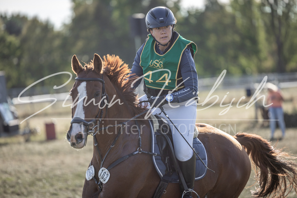 20250907-_3LI4549 | Tierfotografie Pferde, Hunde, Katzen, Haustiere.
Turnierfotografie Reitturniere, Reiten, Springreiten, Dressur in Hanau, dem Main-Kinzig-Kreis und dem Rhein-Main- Gebiet um Frankfurt