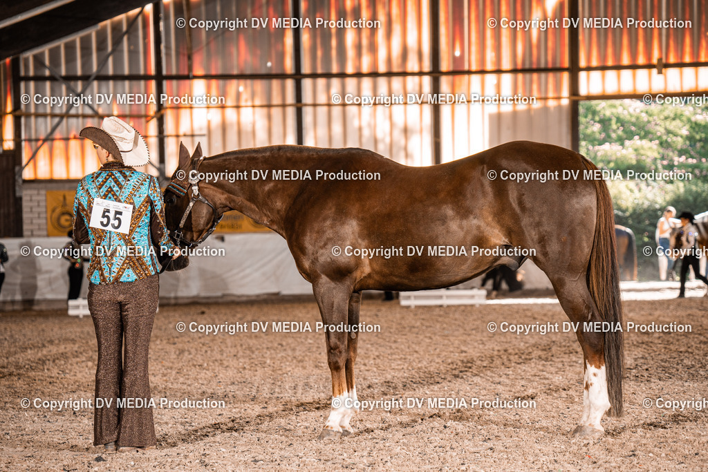 ZH100129 | dv-media-shop - Realisiert mit Pictrs.com