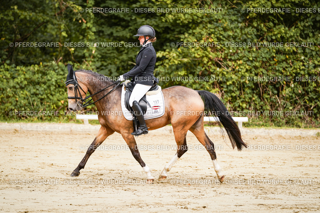 DSC02525 | Pferdegrafie