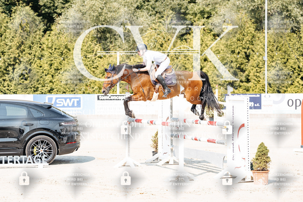 CK902029 | Turnierfotografie Pferdefotografie Trier Rheinland-Pfalz Pferdesport Reitsport Tierfotografie Sportfotografie Pferdevideo Pferdevideografie Equestrianvideography equestrianphotography  - Realisiert mit Pictrs.com