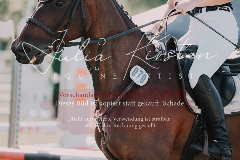 DSC_4768 | Pferde- und Turnierfotografie in Westsachsen. Pferdeportraits, Auftragszeichnungen und intuitive Kunst.