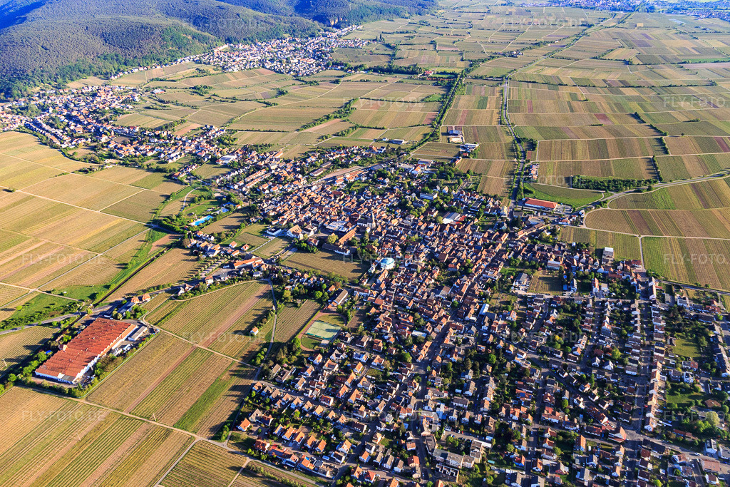 Luftbild: Ortsansicht von Südosten im Ortsteil Mußbach in Neustadt im Bundesland Rheinland-Pfalz in Deutschland. Foto: IMG_120605.jpg vom 26.04.2020 durch Werner Riehm/FLY-FOTO.de