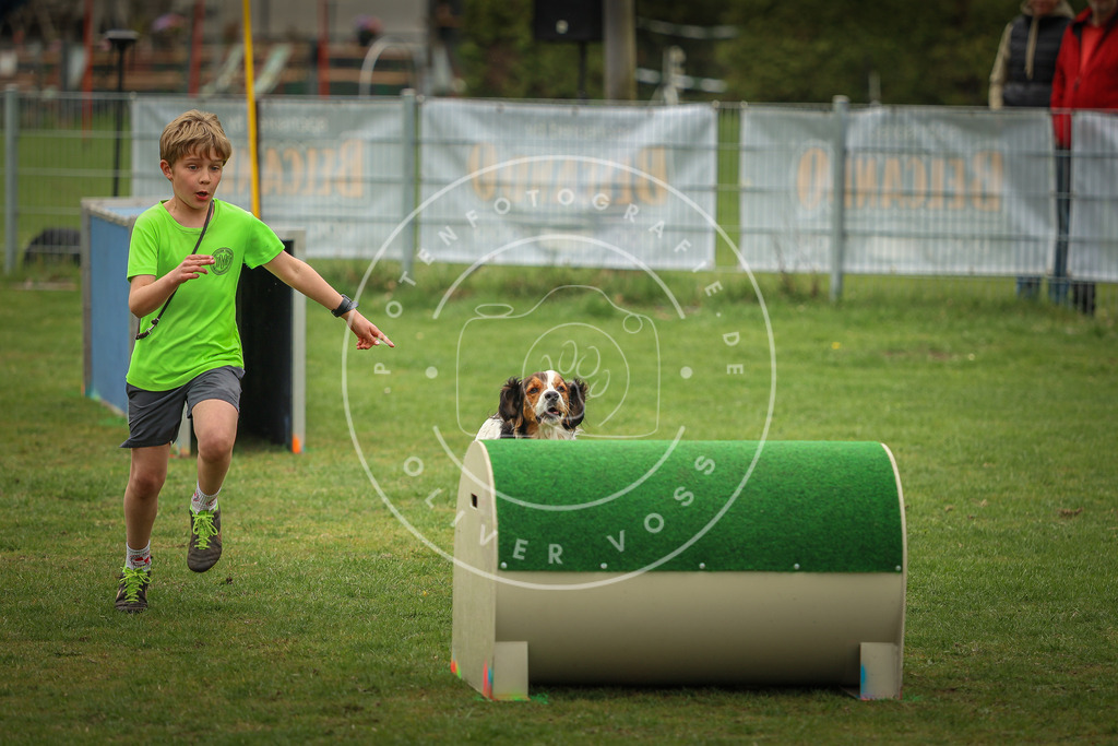 Pfotenfotografie_0L8A1724 | Hundefotografie, Tierfotograf, Pfotenfotografie, Fotoshooting Hund, Hunde Portrait, Hundesport, Hundeportraits, Heideshooting, Hunde, Sportfotograf, Hundefotograf, Turnierhundsport, THS,  - Realisiert mit Pictrs.com