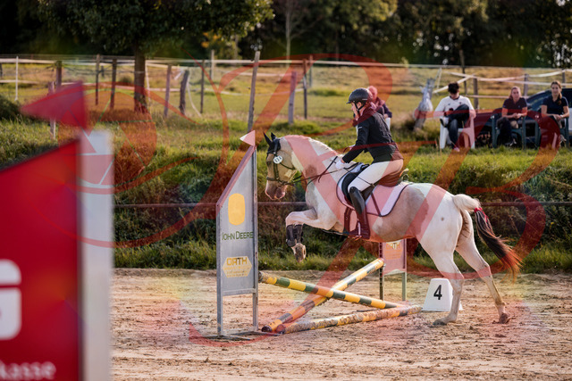 2026_10_03_Siefer-Hof_144240_Z81_15763653 | Professionelle Reitsport-, Turnier- und Eventfotografie von Robert Broda. Galerien mit ausgewählten und bearbeiteten Bildern direkt online ansehen und bestellen.